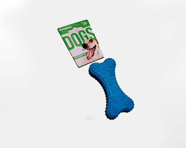 Hueso de dental cancat